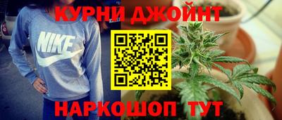 крисы Кунгур