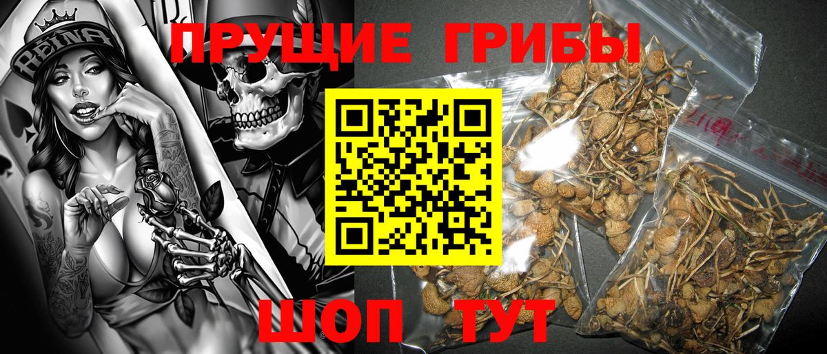 Галлюциногенные грибы MAGIC MUSHROOMS Каменск-Уральский
