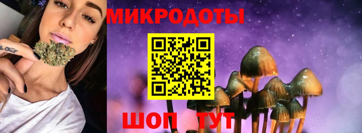 Псилоцибиновые грибы мицелий  Вход с VPN  купить закладку  Каменск-Уральский 